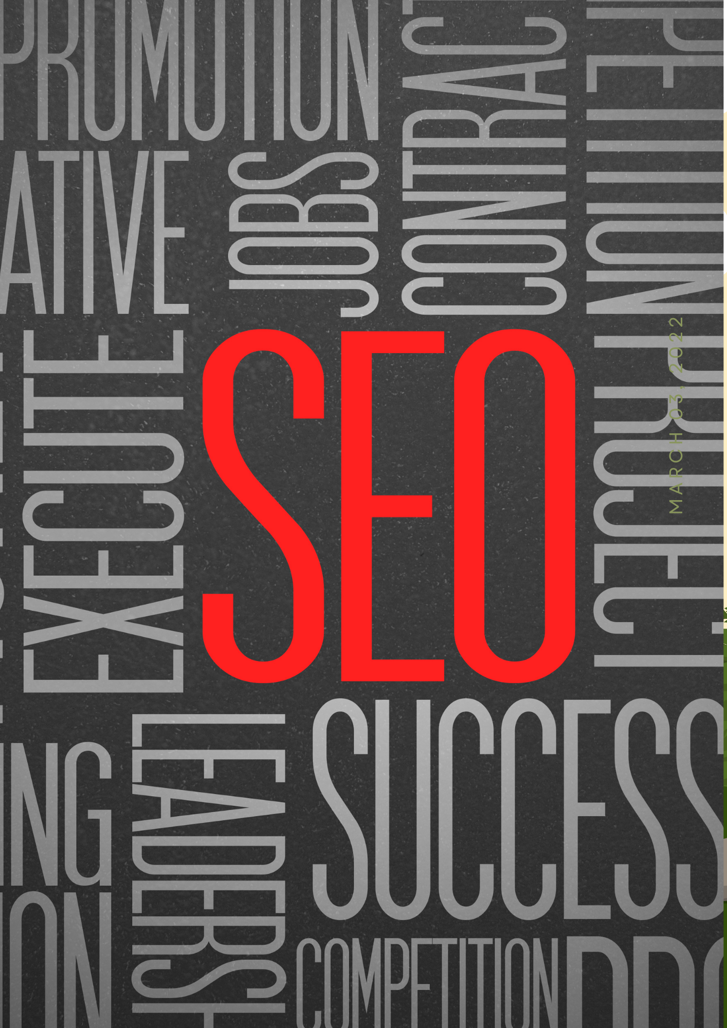 SEO ( Search Engine Optimization )